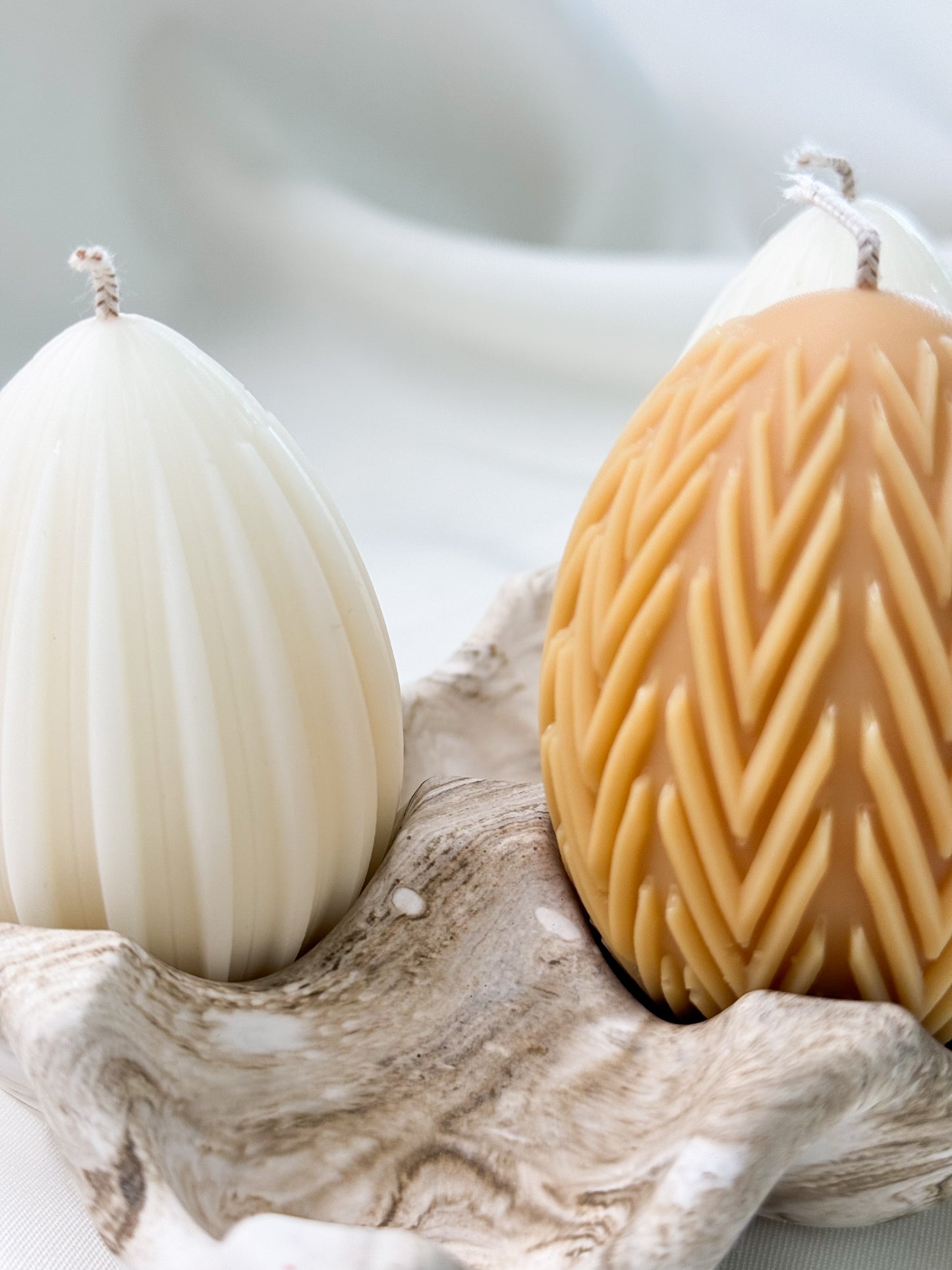 Egg Holder